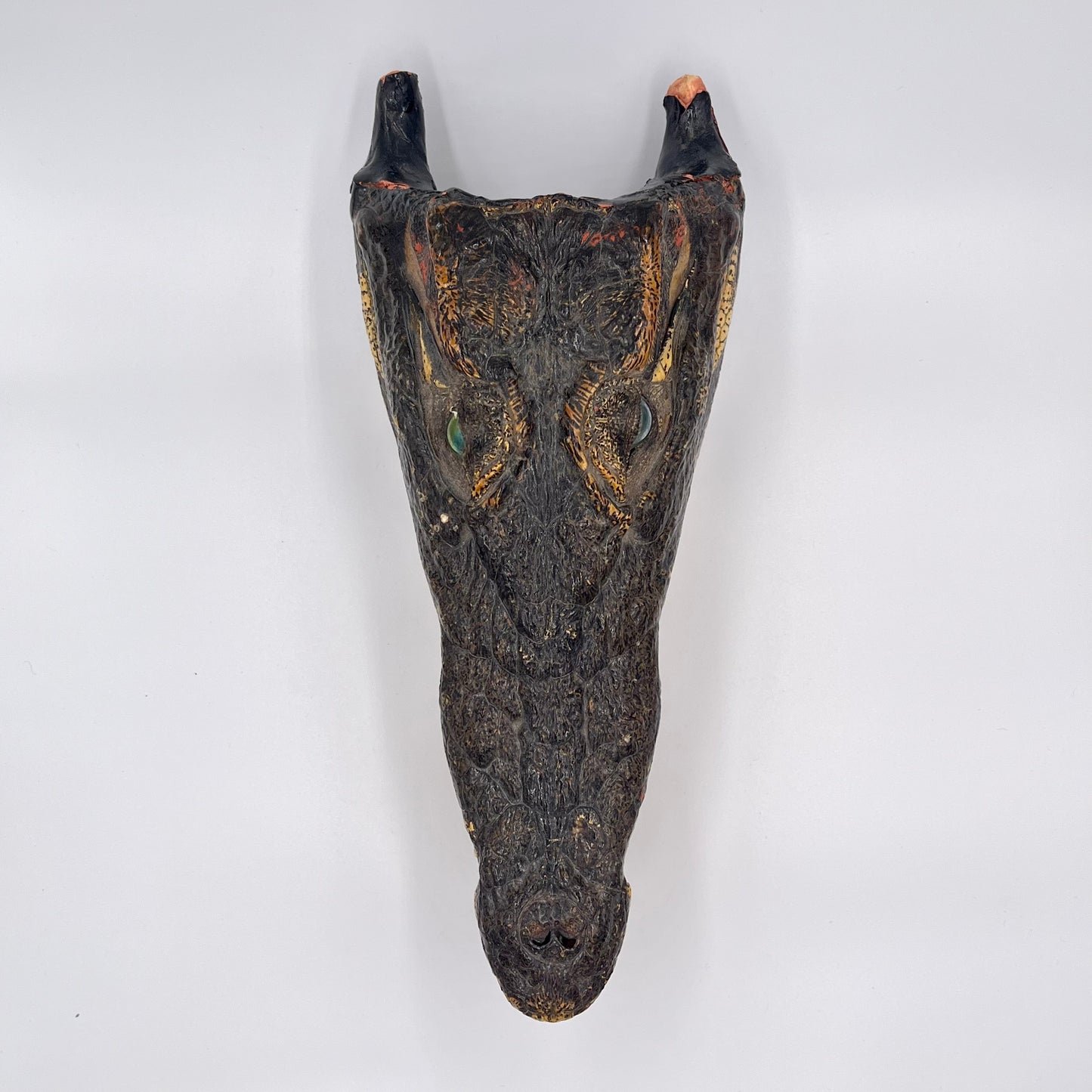 Crocodile head taxidermy