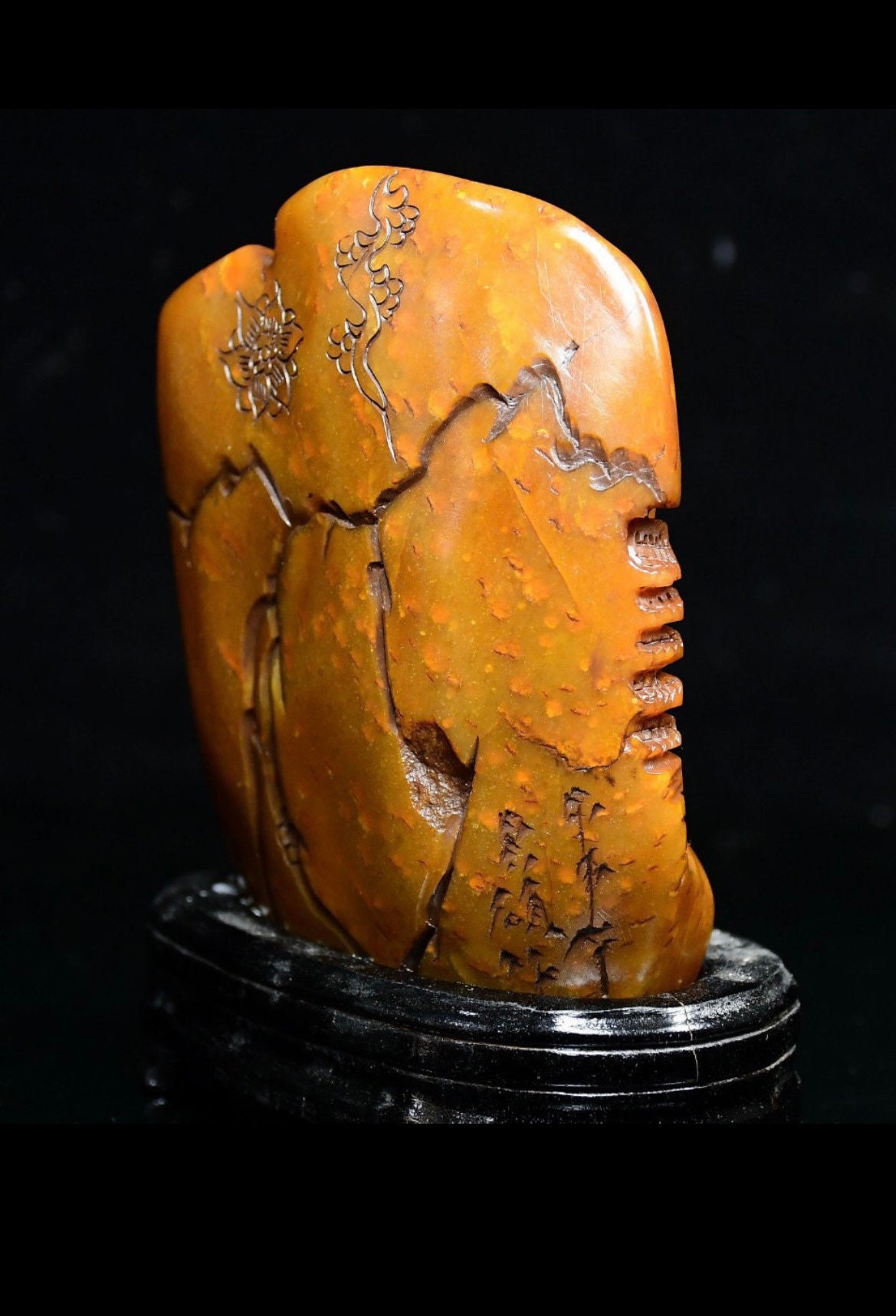 Tianhuang Shoushan stone