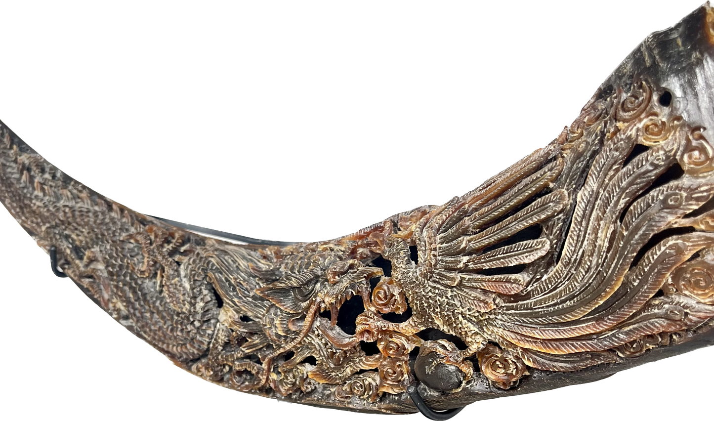 Water Buffalo handcarved horn - Dragon v Phoenix